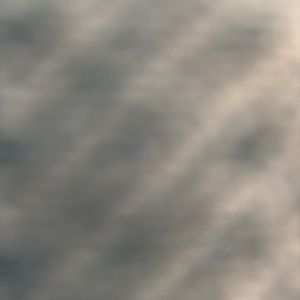 Meet your Posher, Ivy